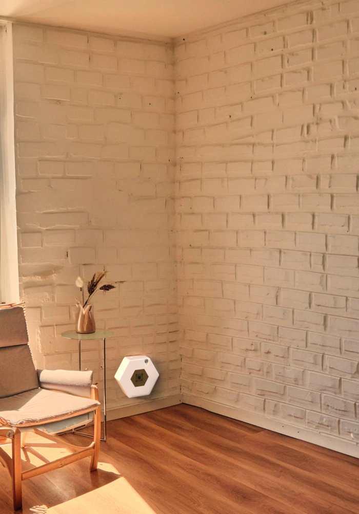 2e2af655f0888a1543ac6044a17e7cf397749c20-700x1000