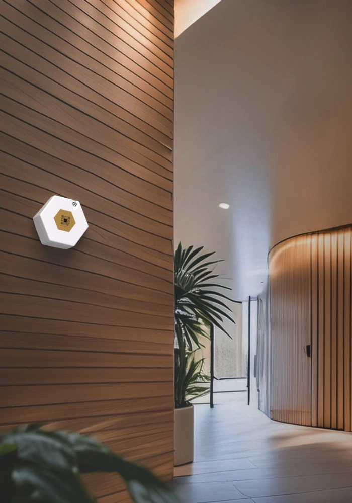 322462ee98c9e4ad96e2f41fef344a3d146411d4-700x1000