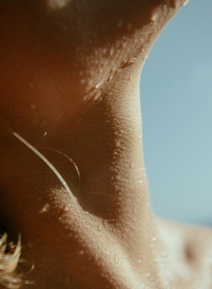 aecbf9f4ed6cff8598976b765b82187aeee1261a-1080x1470