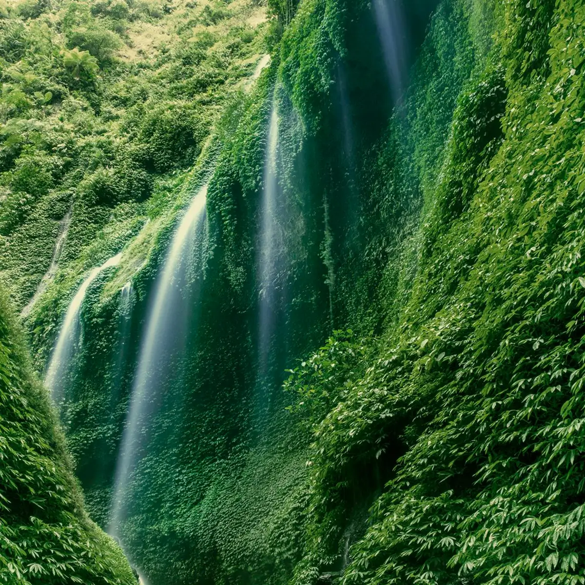 Green Waterfall