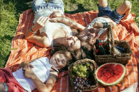 Picnic in the Sun