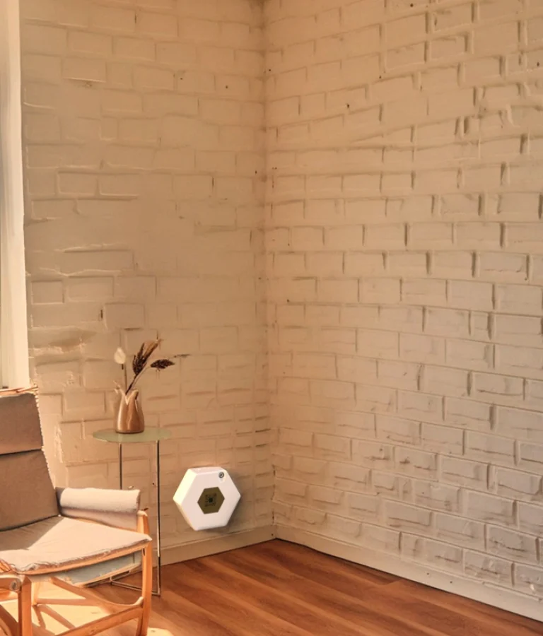 2e2af655f0888a1543ac6044a17e7cf397749c20-700x1000