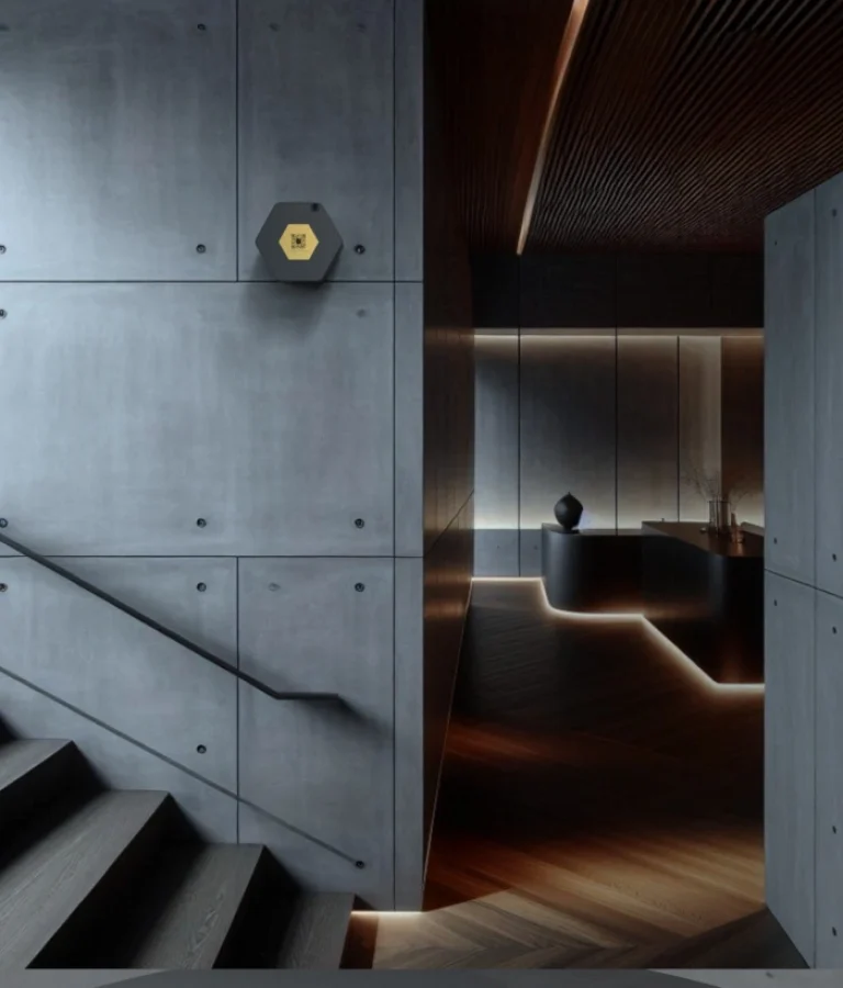 c6c13157efbd9ec86d519f05a69b4c3d3eddae93-700x1000